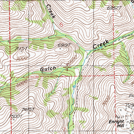 Topographic Map of Trail Gulch, NV