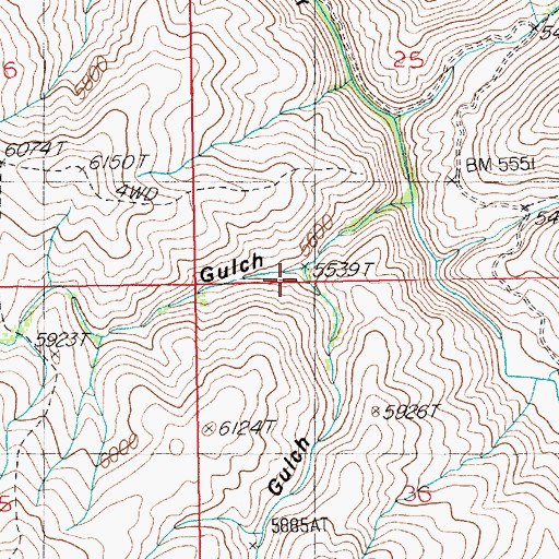 Topographic Map of Trail Gulch, NV