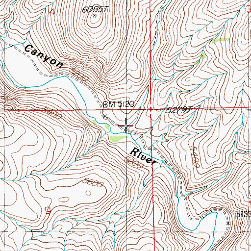 Topographic Map of Trail Gulch, NV