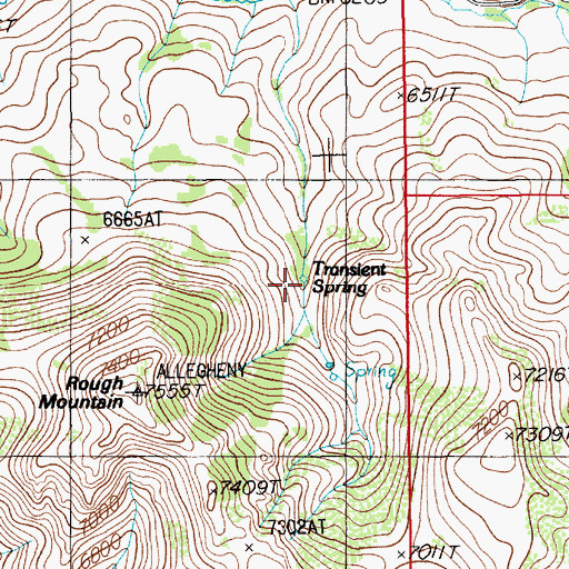 Topographic Map of Transient Spring, NV