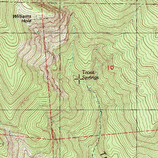 Topographic Map of Trout Springs, NV