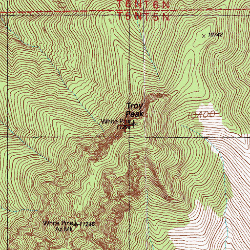 Topographic Map of Troy Peak, NV