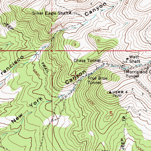 Topographic Map of True Blue Tunnel, NV