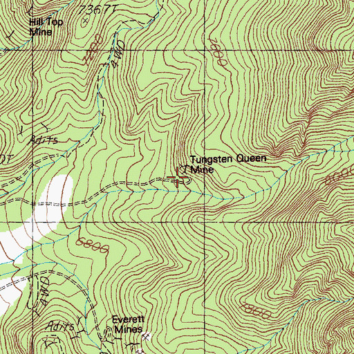 Topographic Map of Tungsten Queen Mine, NV