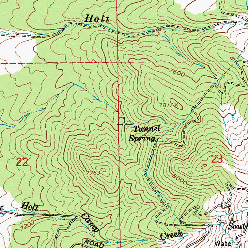 Topographic Map of Tunnel Spring, NV