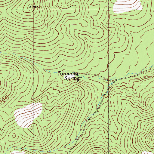 Topographic Map of Turquoise Spring, NV