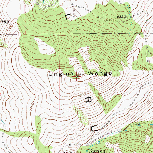 Topographic Map of Ungina Wongo, NV