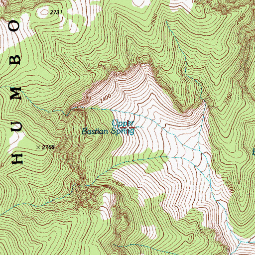 Topographic Map of Upper Bastian Spring, NV