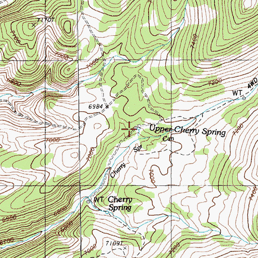 Topographic Map of Upper Cherry Spring, NV