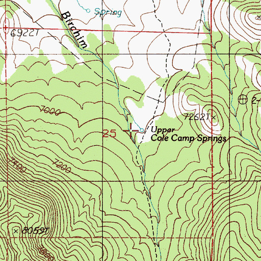 Topographic Map of Upper Cole Camp Springs, NV