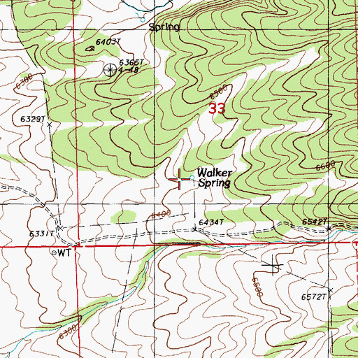 Topographic Map of Walker Spring, NV