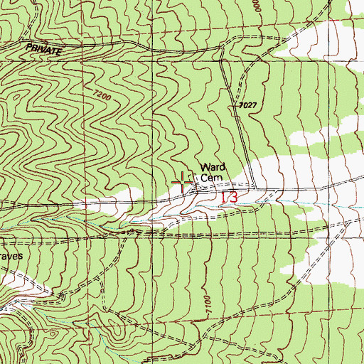 Topographic Map of Ward Cemetery, NV