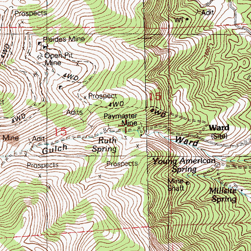 Topographic Map of Ward Gulch, NV