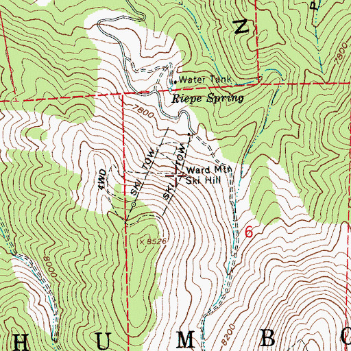 Topographic Map of Ward Mountain Ski Hill, NV