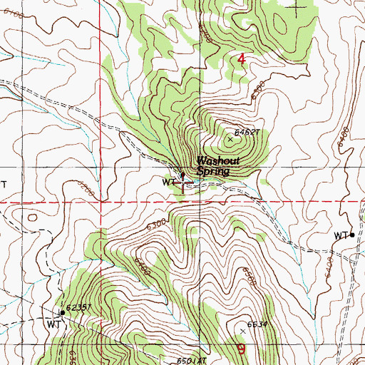 Topographic Map of Washout Spring, NV