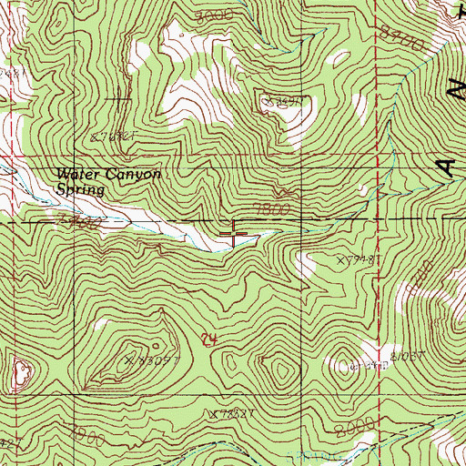 Topographic Map of Water Canyon Spring, NV