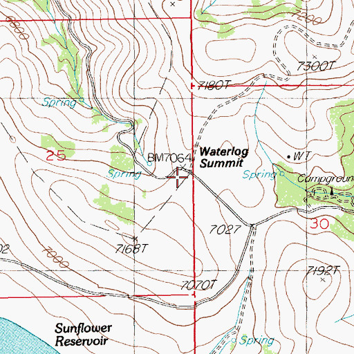 Topographic Map of Waterlog Summit, NV