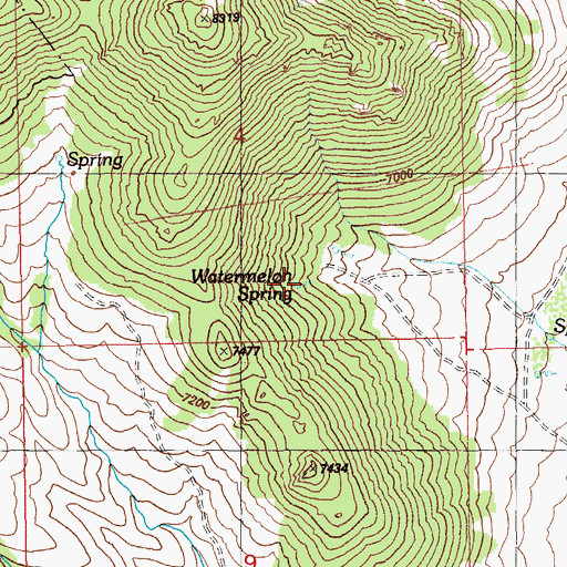 Topographic Map of Watermelon Spring, NV