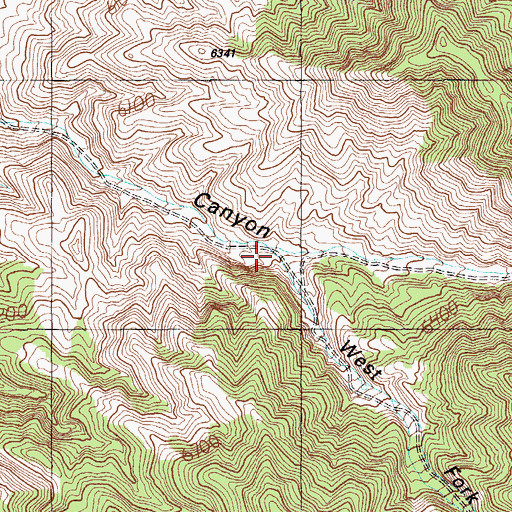 Topographic Map of West Fork Grant Canyon, NV