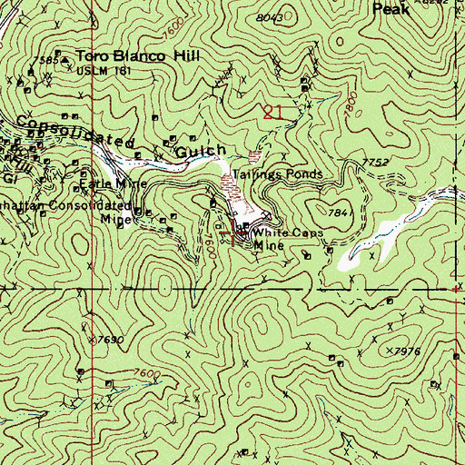 Topographic Map of White Caps Mine, NV