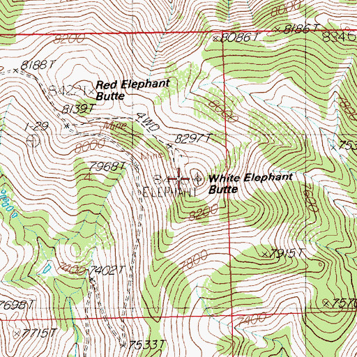 Topographic Map of White Elephant Butte, NV