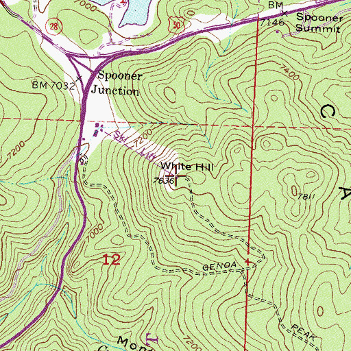 Topographic Map of White Hill, NV