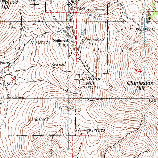 Topographic Map of White Hill, NV