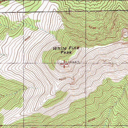 Topographic Map of White Pine Peak, NV