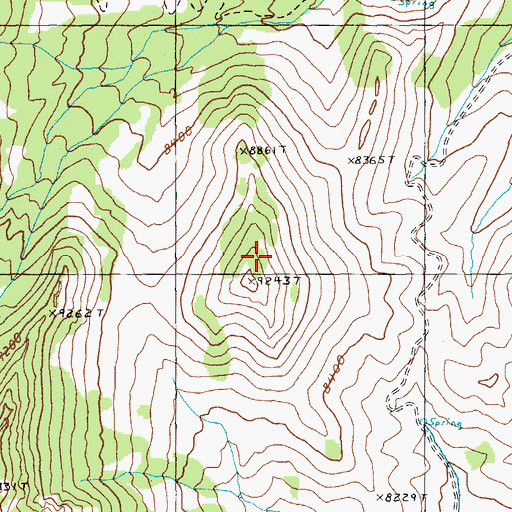 Topographic Map of White Pine Range, NV