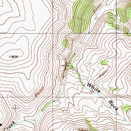 Topographic Map of White Rock Canyon, NV