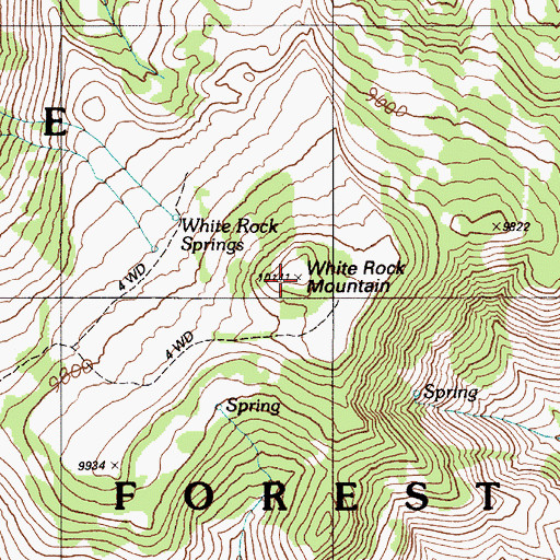 Topographic Map of White Rock Mountain, NV