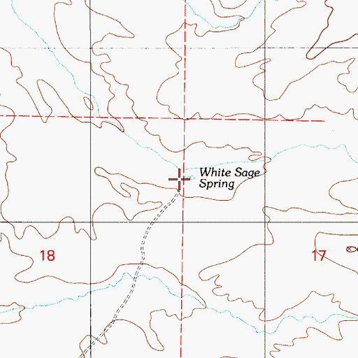 Topographic Map of White Sage Spring, NV