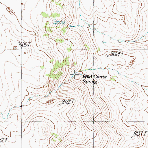 Topographic Map of Wild Carrot Spring, NV