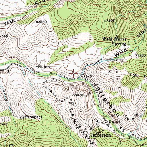 Topographic Map of Wild Horse Canyon, NV