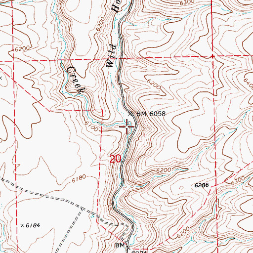 Topographic Map of Wild Horse Creek, NV