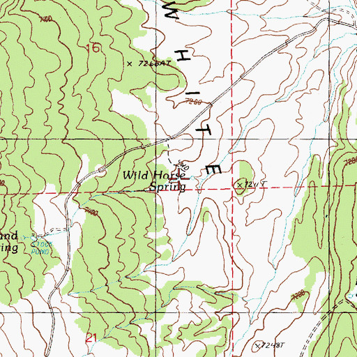 Topographic Map of Wild Horse Spring, NV