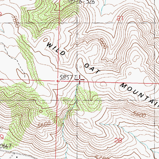 Topographic Map of Wild Oat Mountain, NV