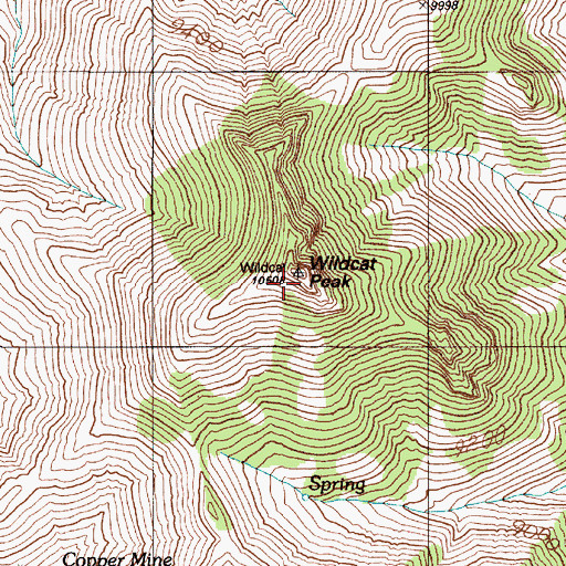 Topographic Map of Wildcat Peak, NV