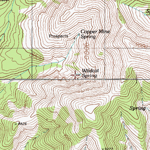 Topographic Map of Wildcat Spring, NV