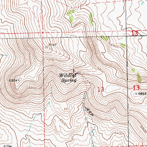 Topographic Map of Wildcat Spring, NV