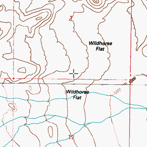 Topographic Map of Wildhorse Flat, NV