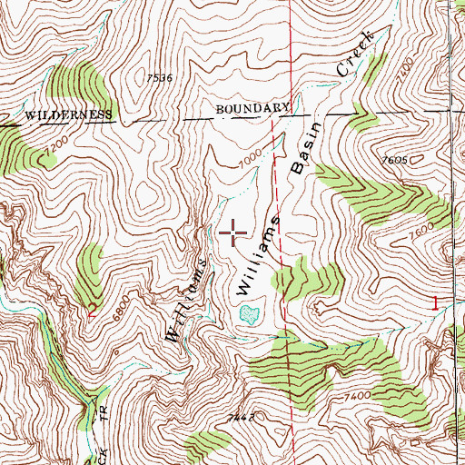 Topographic Map of Williams Basin, NV