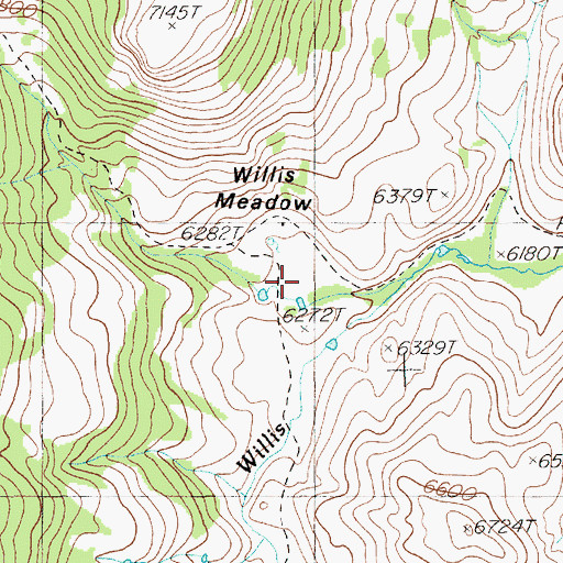 Topographic Map of Willis Meadow, NV