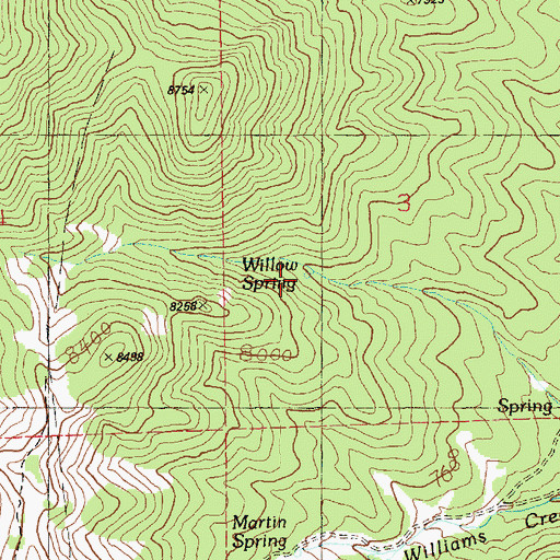 Topographic Map of Willow Spring, NV