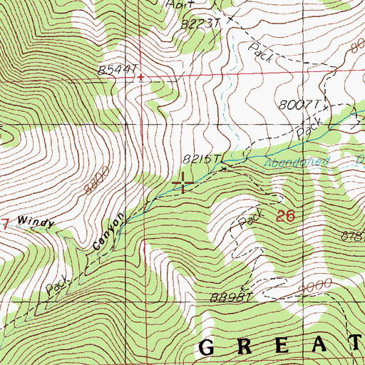 Topographic Map of Windy Canyon, NV