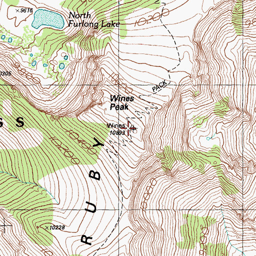 Topographic Map of Wines Peak, NV