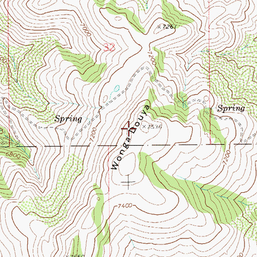 Topographic Map of Wonga Douya, NV