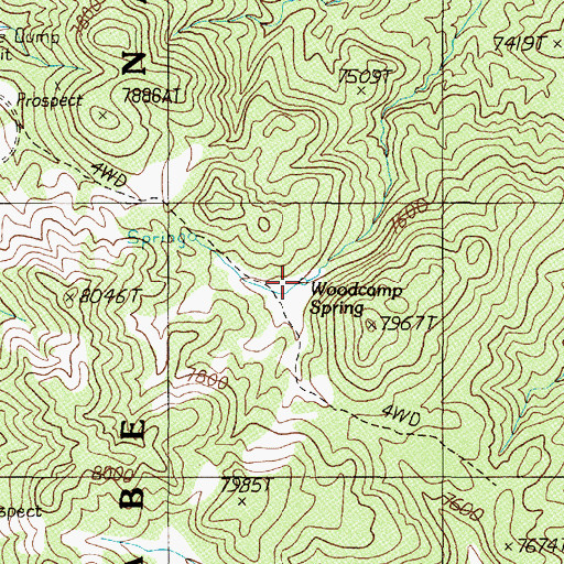 Topographic Map of Woodcamp Spring, NV