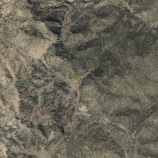 Aerial/Satellite Image of Woodcamp Spring, NV
