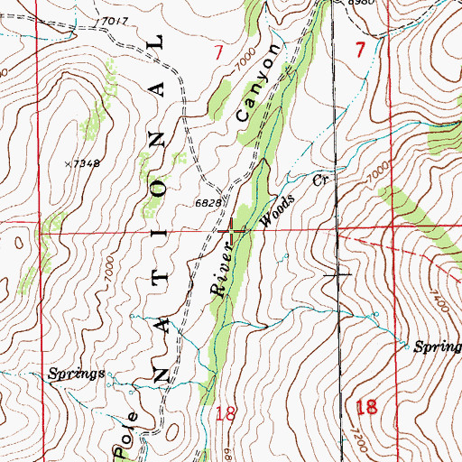 Topographic Map of Woods Creek, NV